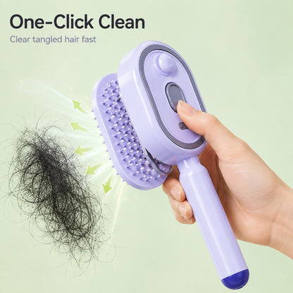 Steam Detangling Brush for Frizzy Hair, Fast Smooth & Shine Hair Comb