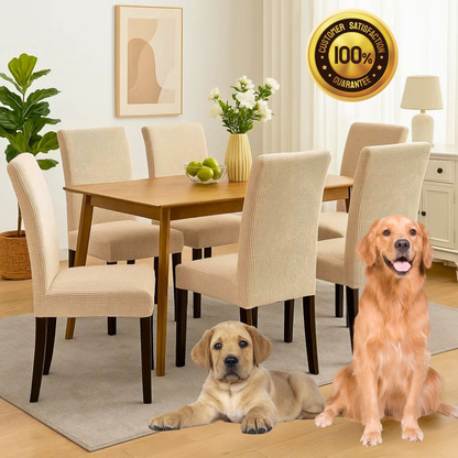 Turn Worn Dining Chairs Into a Fresh, Stylish Look — In Seconds