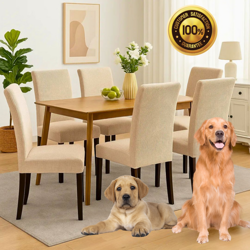 Turn Worn Dining Chairs Into a Fresh, Stylish Look — In Seconds