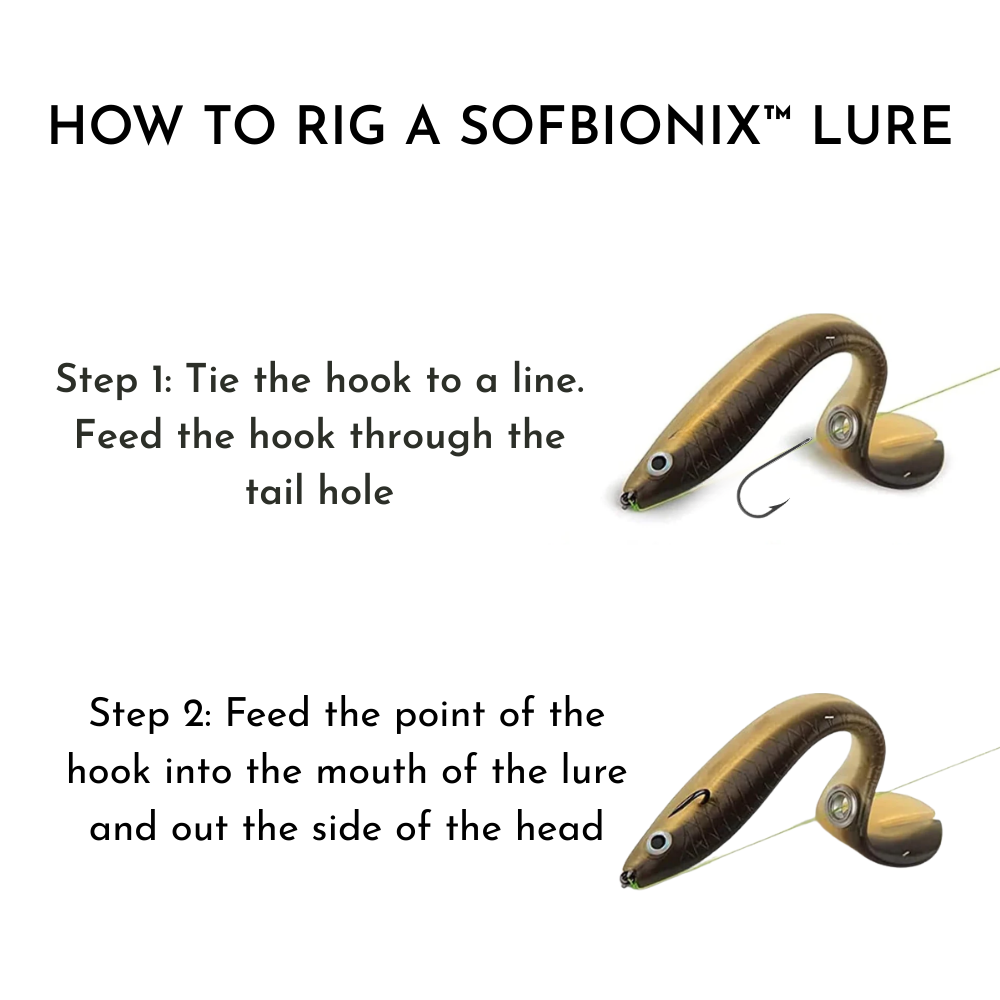 Lure: Catch More Fish